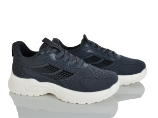 2611-2, 8 (40-45), <strong>510</strong>, літо