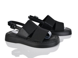 FLY09-1, 8 (36-41), <strong>480</strong>, літо