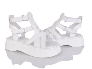 SC2419-4, 8 (36-41), <strong>550</strong>, літо