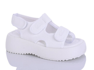 726-2, 8 (36-41), <strong>570</strong>, літо