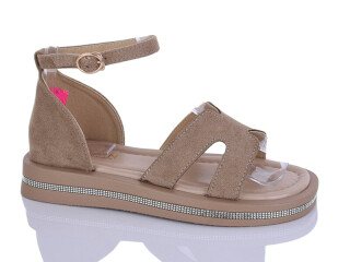 C21-2, 8 (36-41), <strong>490</strong>, літо