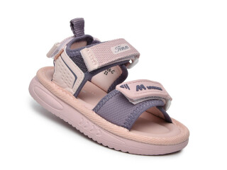 T65069C, 8 (23-28), <strong>430</strong>, літо