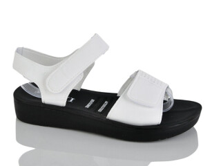 L43-2, 8 (36-41), <strong>350</strong>, літо