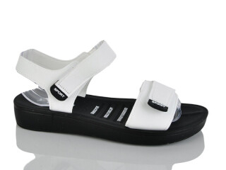 Y54-2, 8 (40-43), <strong>360</strong>, літо