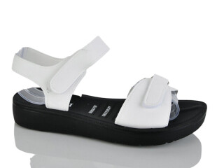 Y55-2, 8 (40-43), <strong>360</strong>, літо