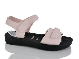 Y55-3, 8 (40-43), <strong>360</strong>, літо