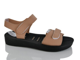 Y55-4, 8 (40-43), <strong>360</strong>, літо