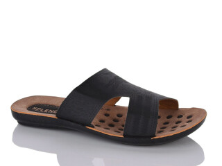 2607-10, 6 (36-40), <strong>95</strong>, літо